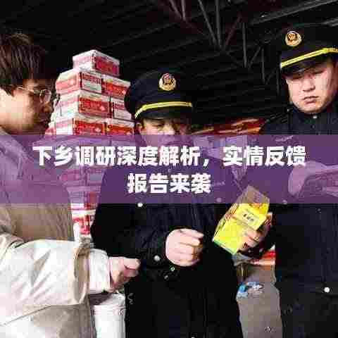 下乡调研深度解析,实情反馈报告来袭