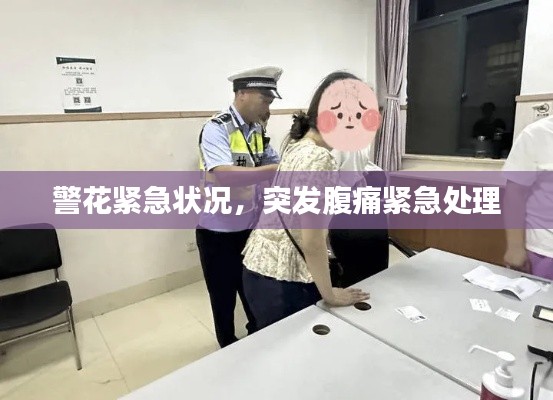 夯雀儿先飞 第2页