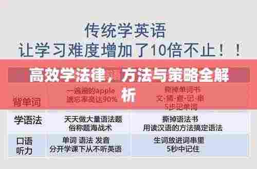 高效学法律,方法与策略全解析