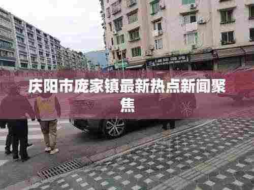 庆阳市庞家镇最新热点新闻聚焦