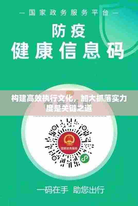 构建高效执行文化,加大抓落实力度是关键之道