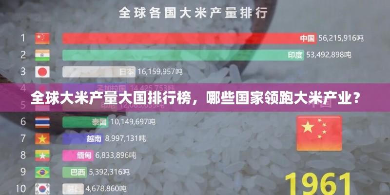 全球大米产量大国排行榜，哪些国家领跑大米产业？