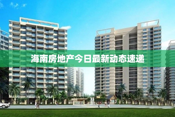 海南房地产今日最新动态速递