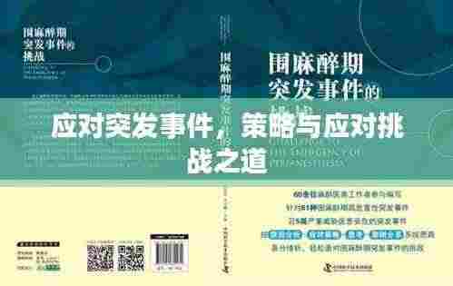 应对突发事件,策略与应对挑战之道