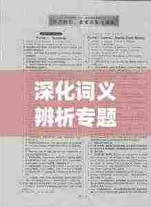深化词义辨析专题,提升语言精度与理解力