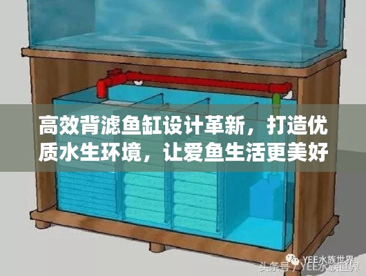 高效背滤鱼缸设计革新,打造优质水生环境,让爱鱼生活更美好!