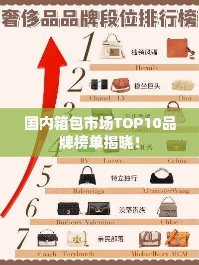国内箱包市场TOP10品牌榜单揭晓!