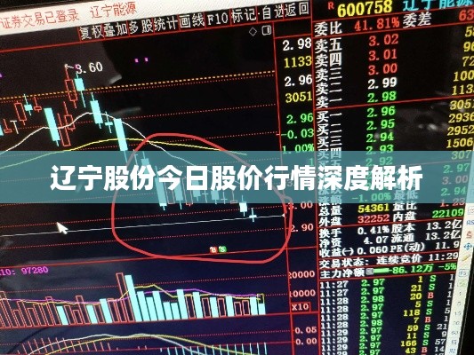 辽宁股份今日股价行情深度解析