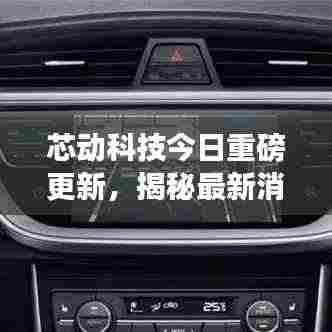 芯动科技今日重磅更新，揭秘最新消息！