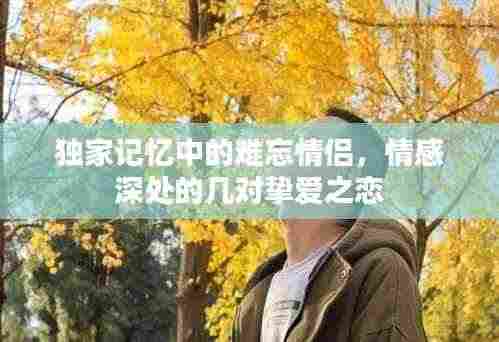 独家记忆中的难忘情侣，情感深处的几对挚爱之恋