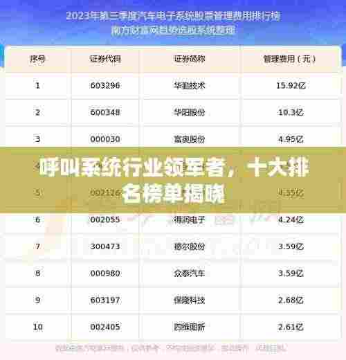 呼叫系统行业领军者,十大排名榜单揭晓