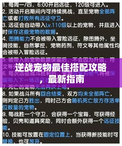 逆战宠物最佳搭配攻略，最新指南