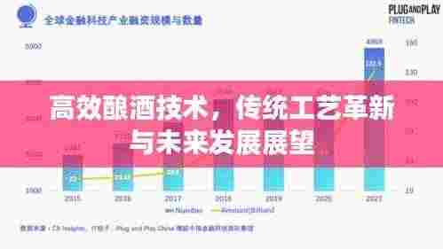高效酿酒技术,传统工艺革新与未来发展展望
