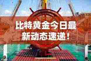 比特黄金今日最新动态速递!