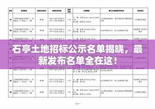 石亭土地招标公示名单揭晓，最新发布名单全在这！