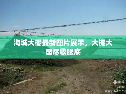 海城大棚最新图片展示，大棚大图尽收眼底