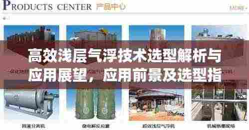 高效浅层气浮技术选型解析与应用展望,应用前景及选型指南