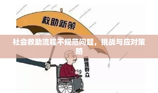 社会救助流程不规范问题,挑战与应对策略
