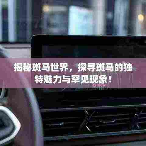 揭秘斑马世界,探寻斑马的独特魅力与罕见现象!