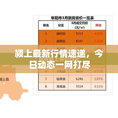 颍上最新行情速递,今日动态一网打尽