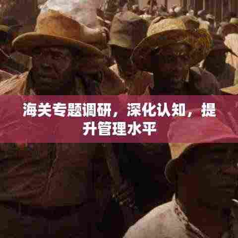 海关专题调研，深化认知，提升管理水平