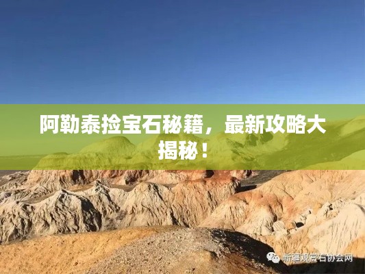 阿勒泰捡宝石秘籍,最新攻略大揭秘!