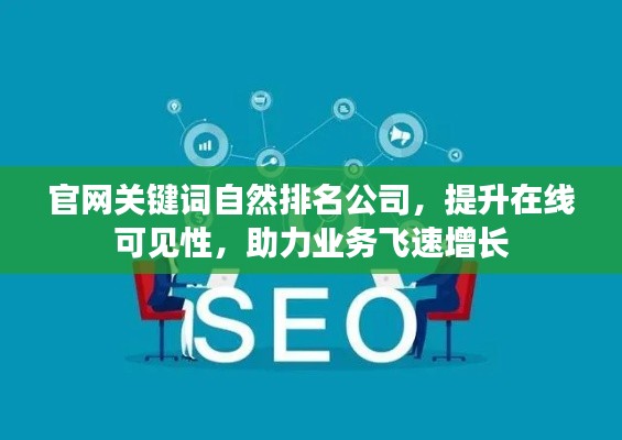 官网关键词自然排名公司,提升在线可见性,助力业务飞速增长