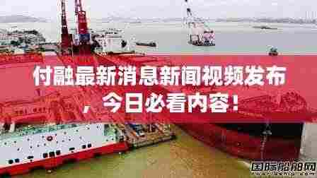 付融最新消息新闻视频发布,今日必看内容!