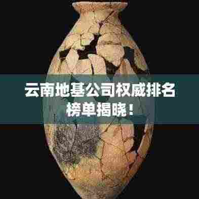 云南地基公司权威排名榜单揭晓！
