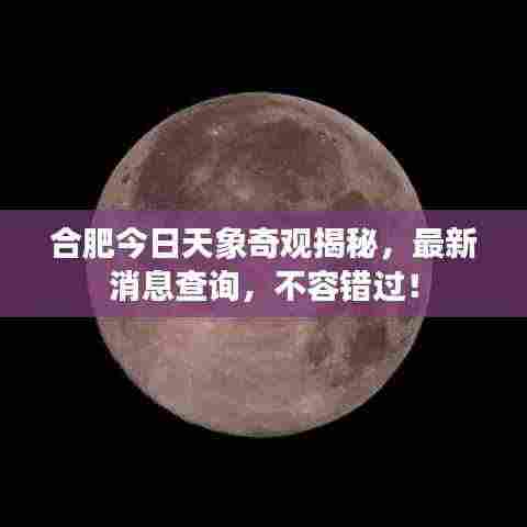 贵出贱收 第3页