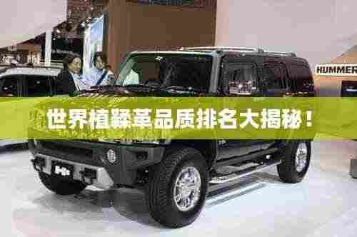 世界植鞣革品质排名大揭秘!