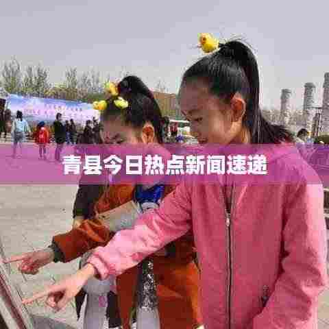 青县今日热点新闻速递
